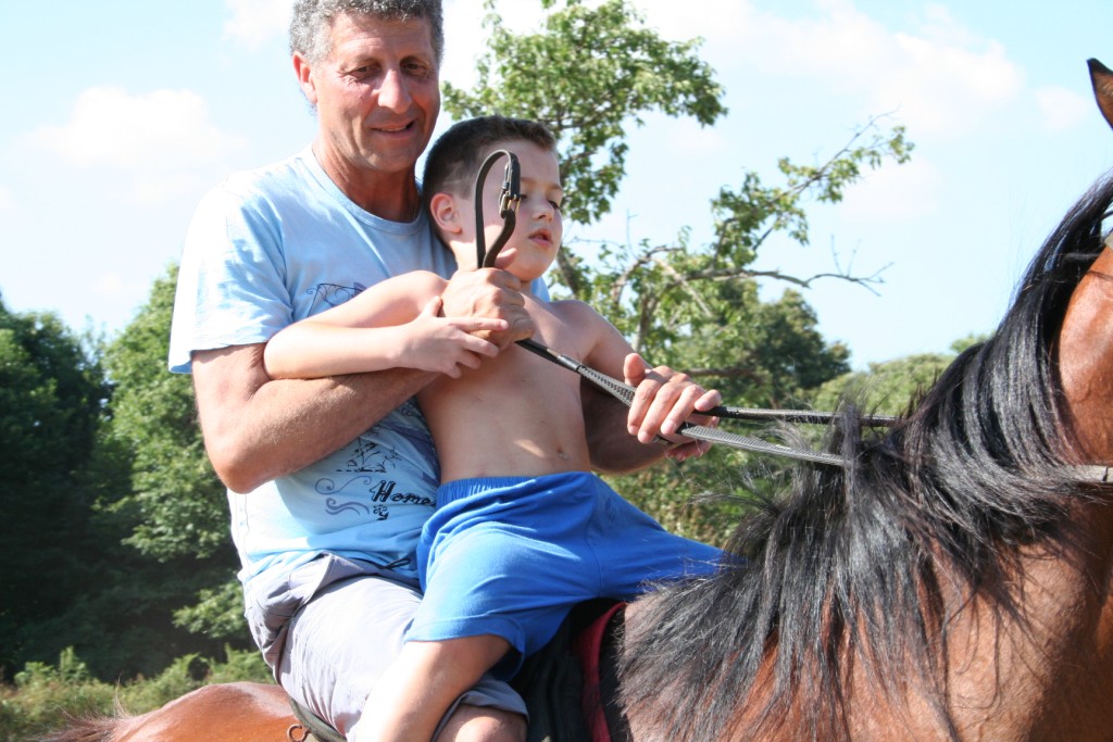 Dopo gatti e cani parliamo del Cavallo?